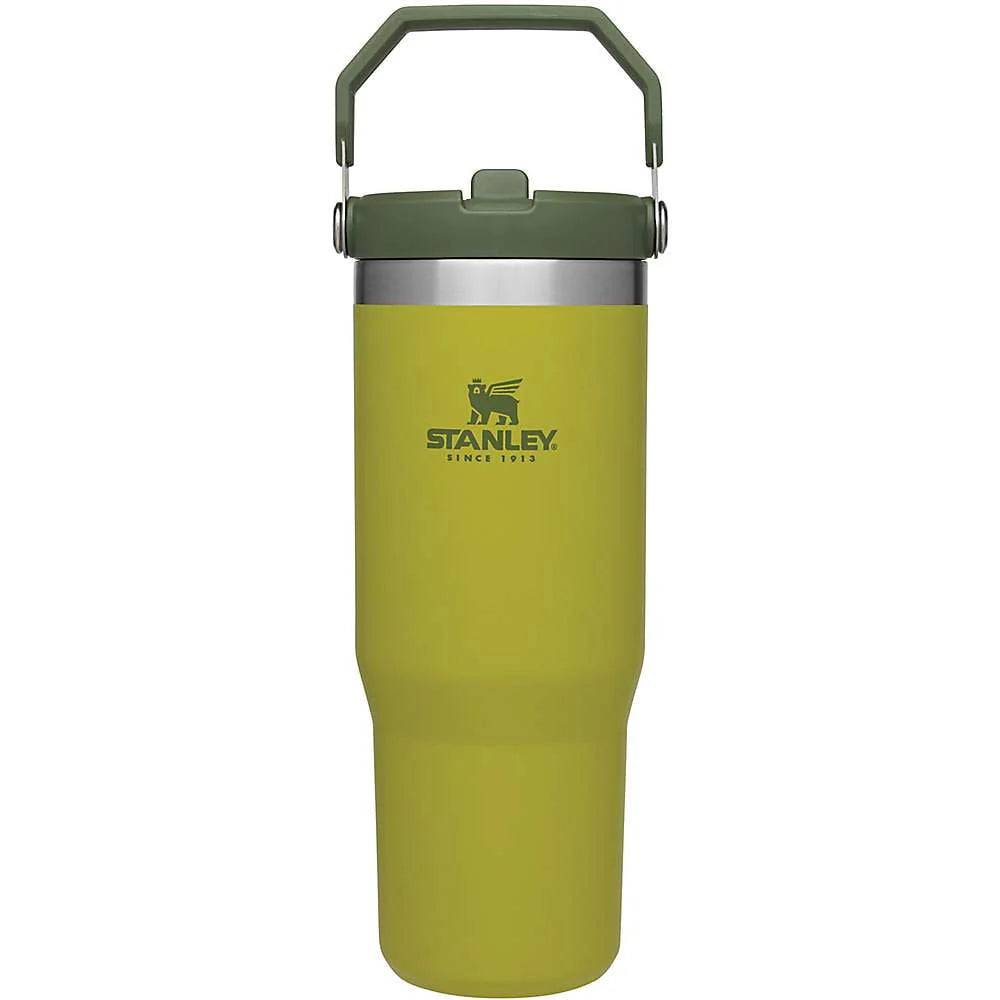 20oz Flip Straw Tumbler B7707