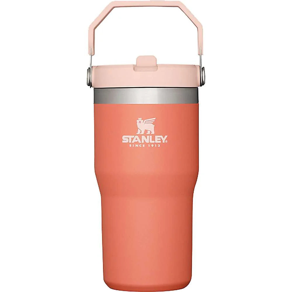 20oz Flip Straw Tumbler B7707