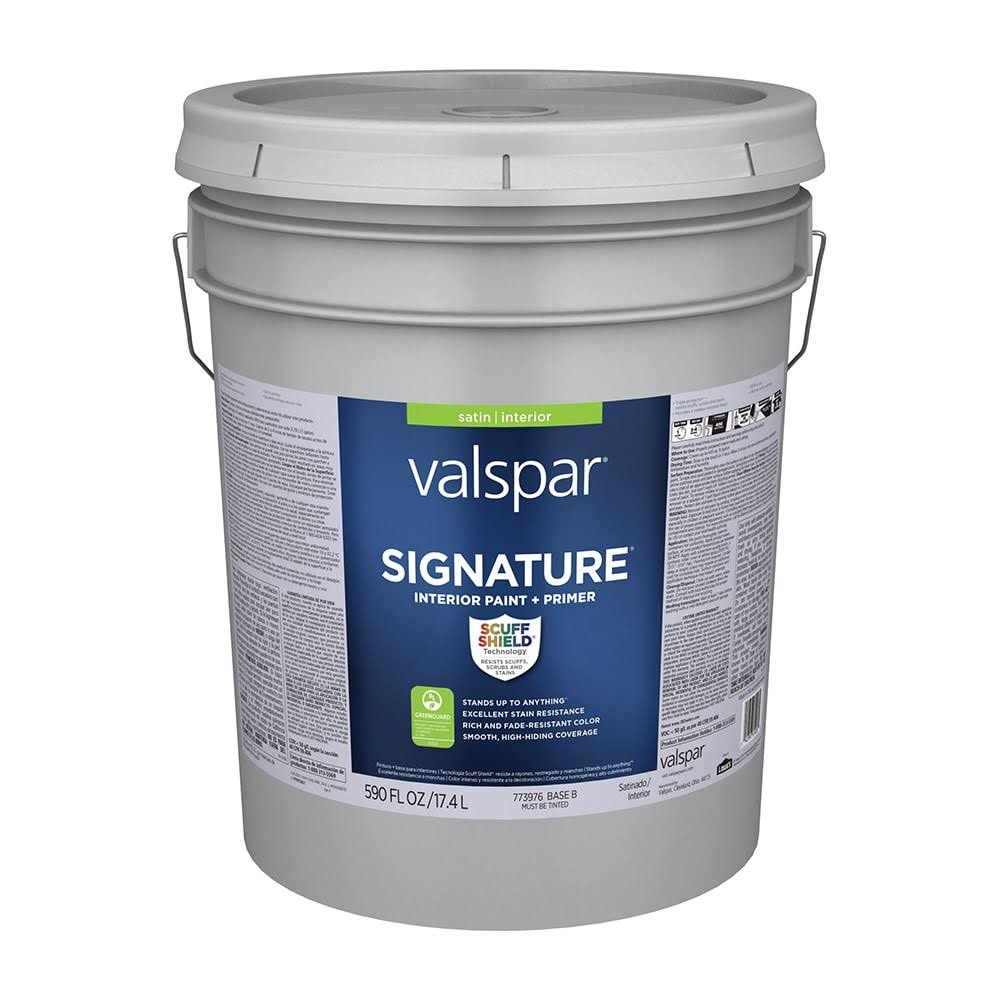 Satin Latex Paint N599236