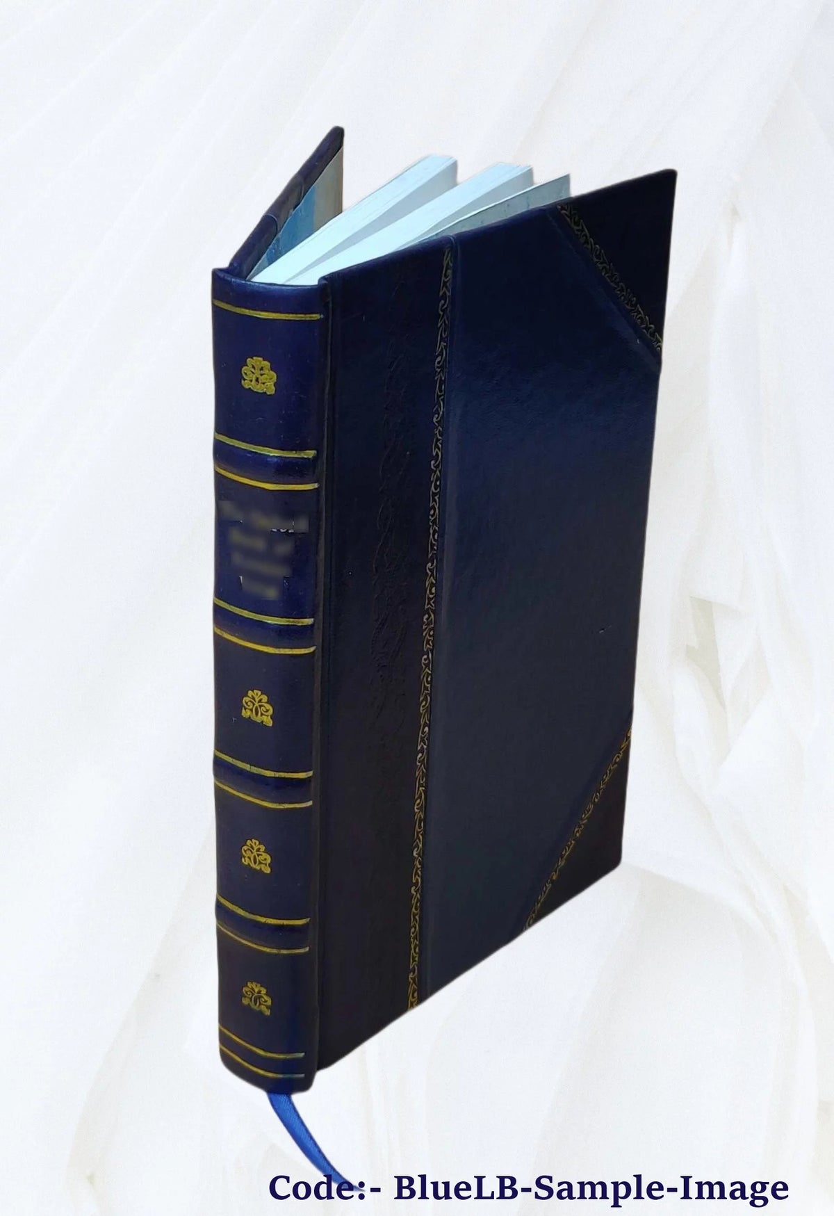 Leather Bound T349