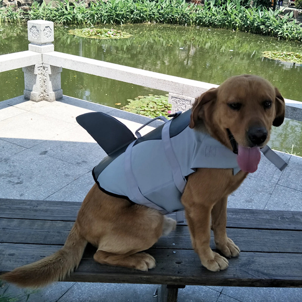 Dog Shark Swimsuit Vest Pet Safety Wear A4155