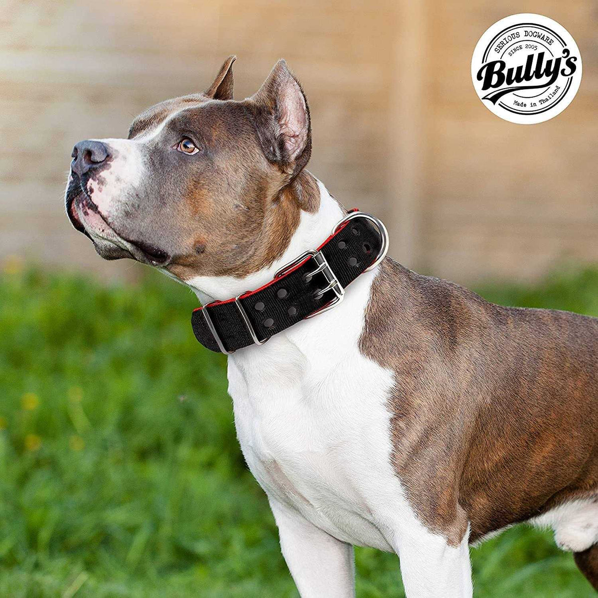 Dog Collar for Large Dogs H74639