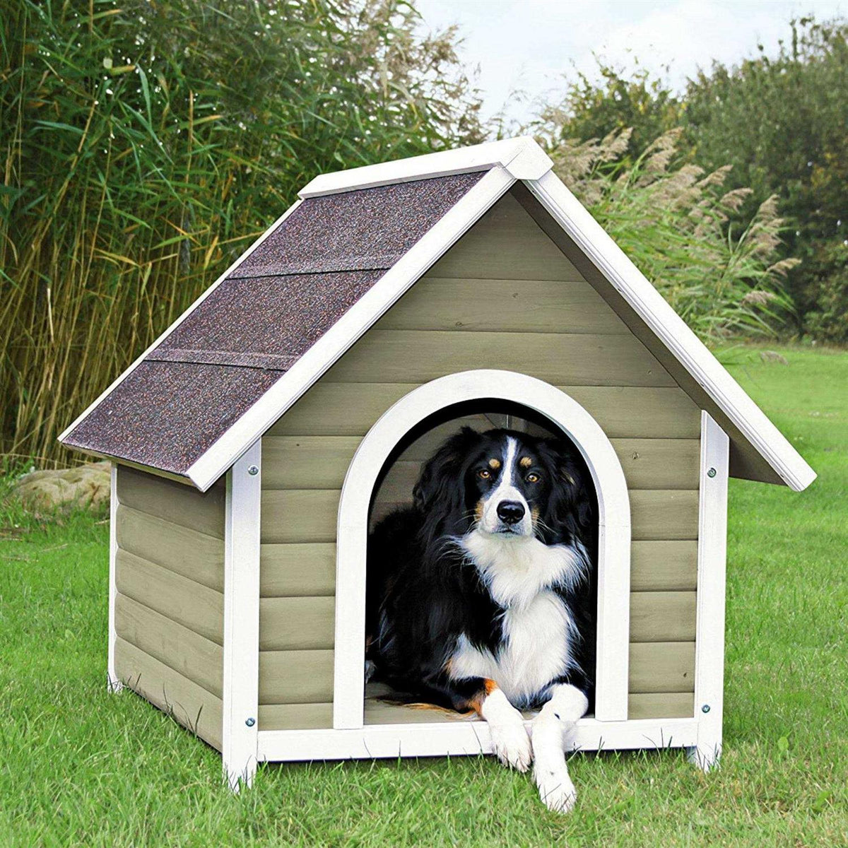 Dog House P1632