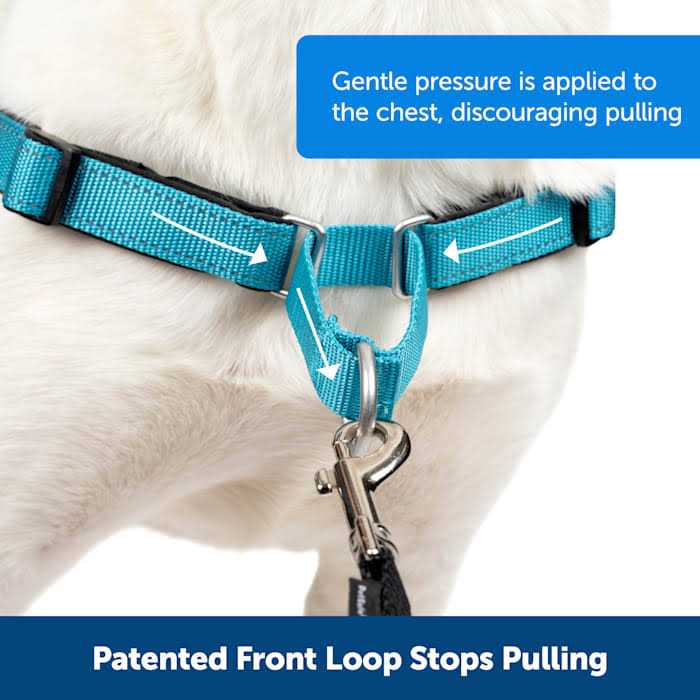 Easy Walk Harness M438