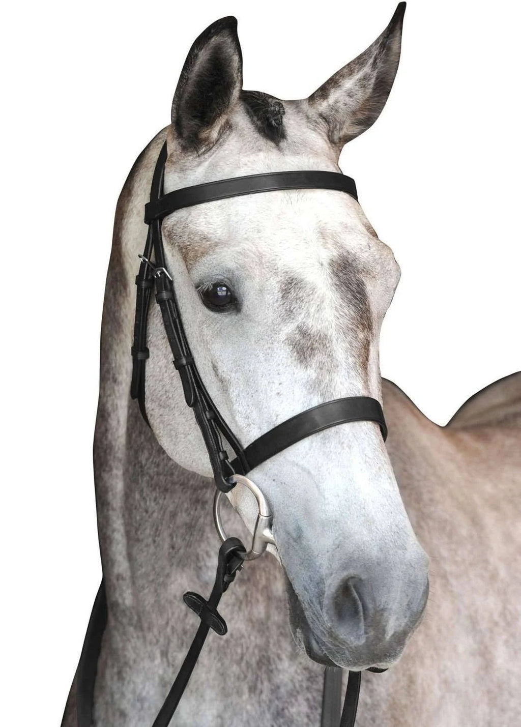 Black Cavesson Bridle L28559