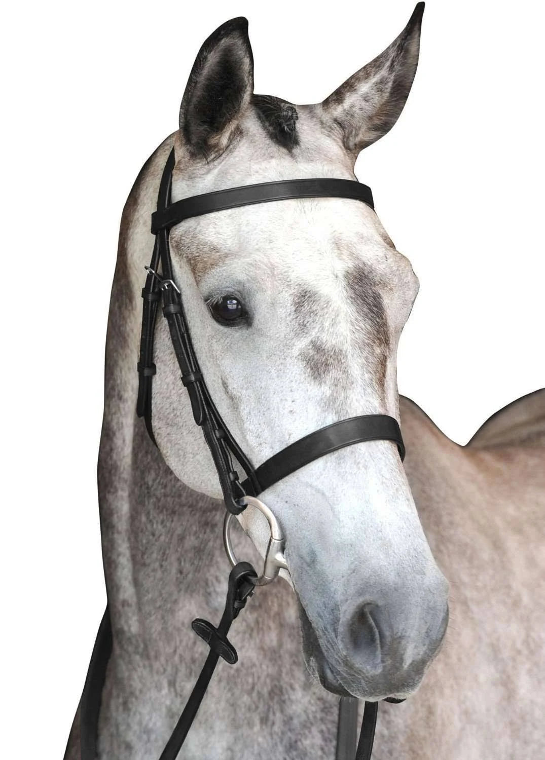 Black Cavesson Bridle L28559