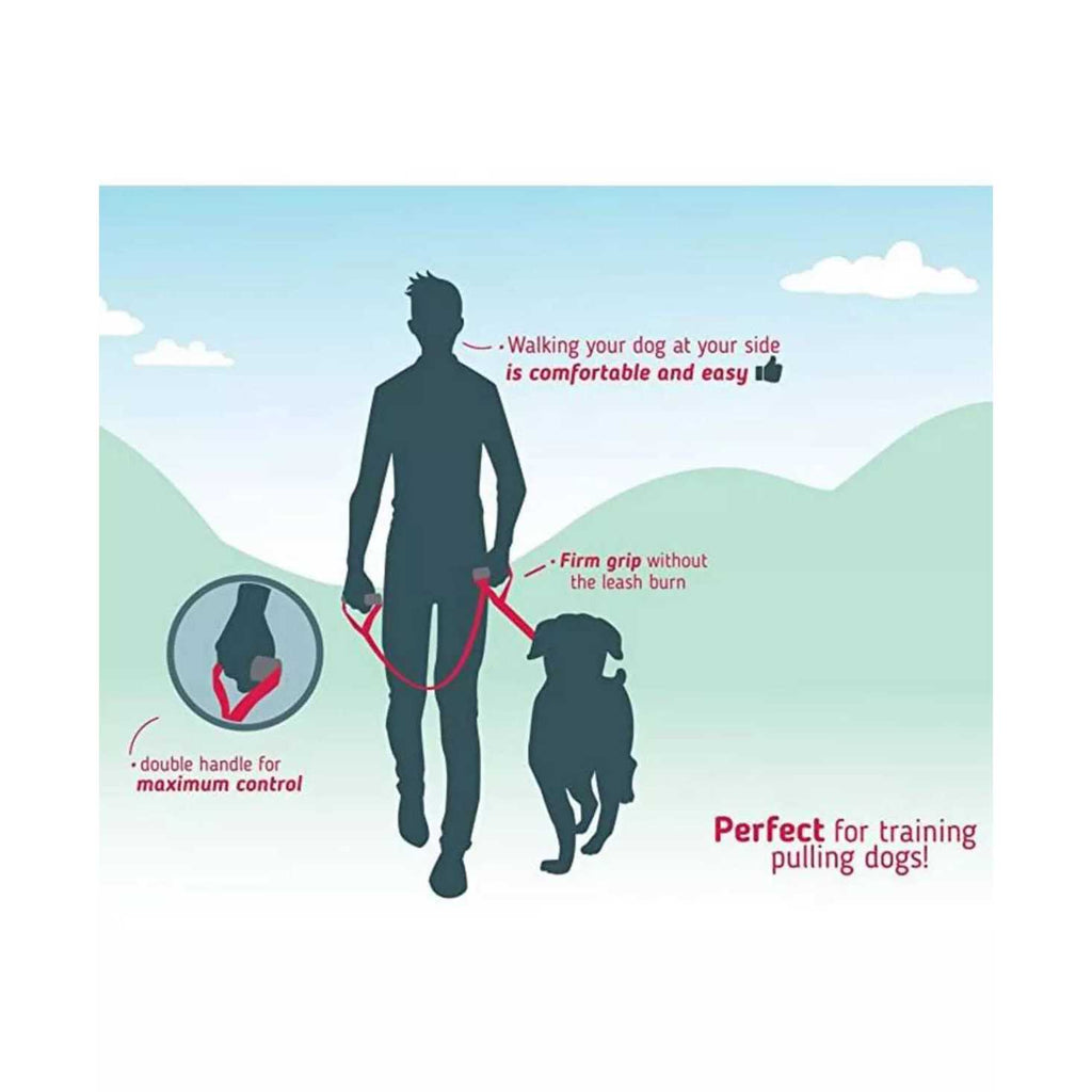 Heavy Duty Dog Leash F2295