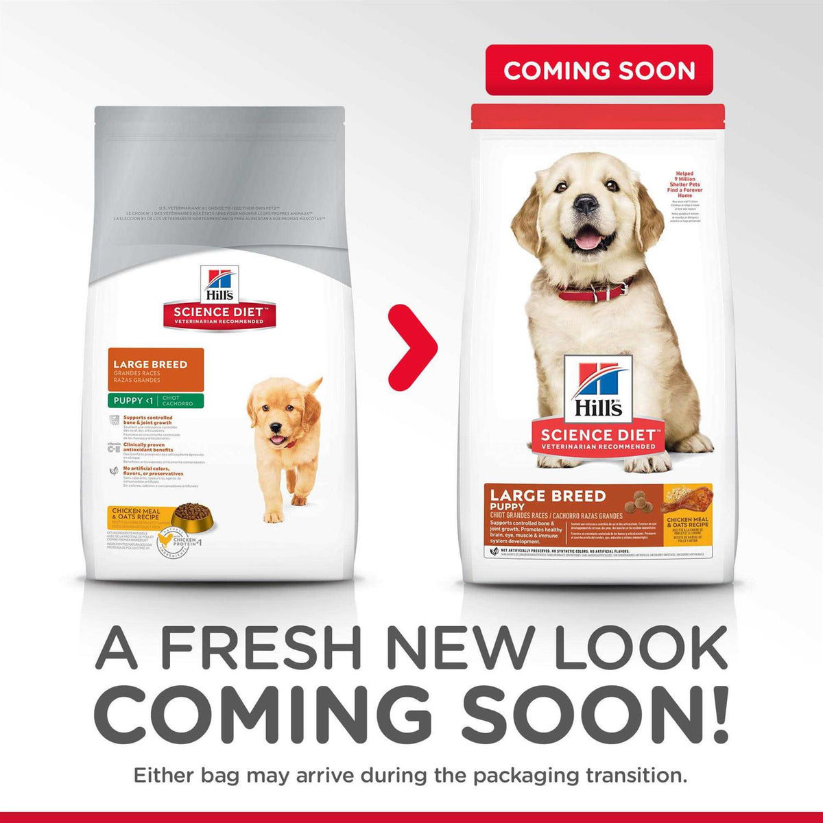Large Breed Puppy Chicken Recipe Dry Dog Food C413