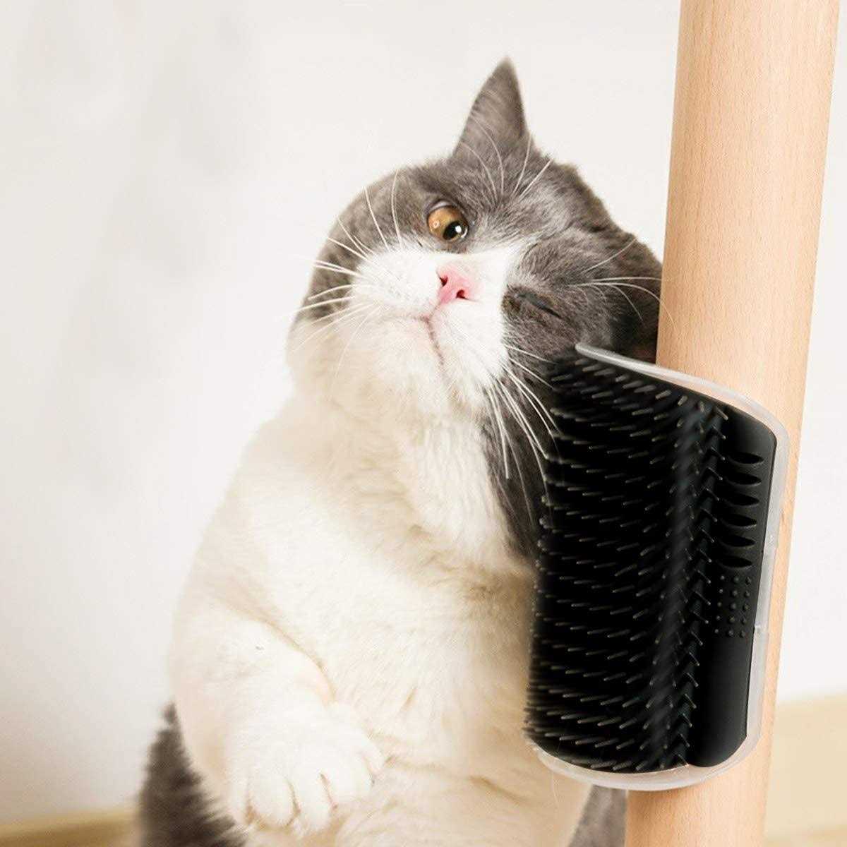 2 Pack Cat Self Groomer Wall Brush with Catnip J78530