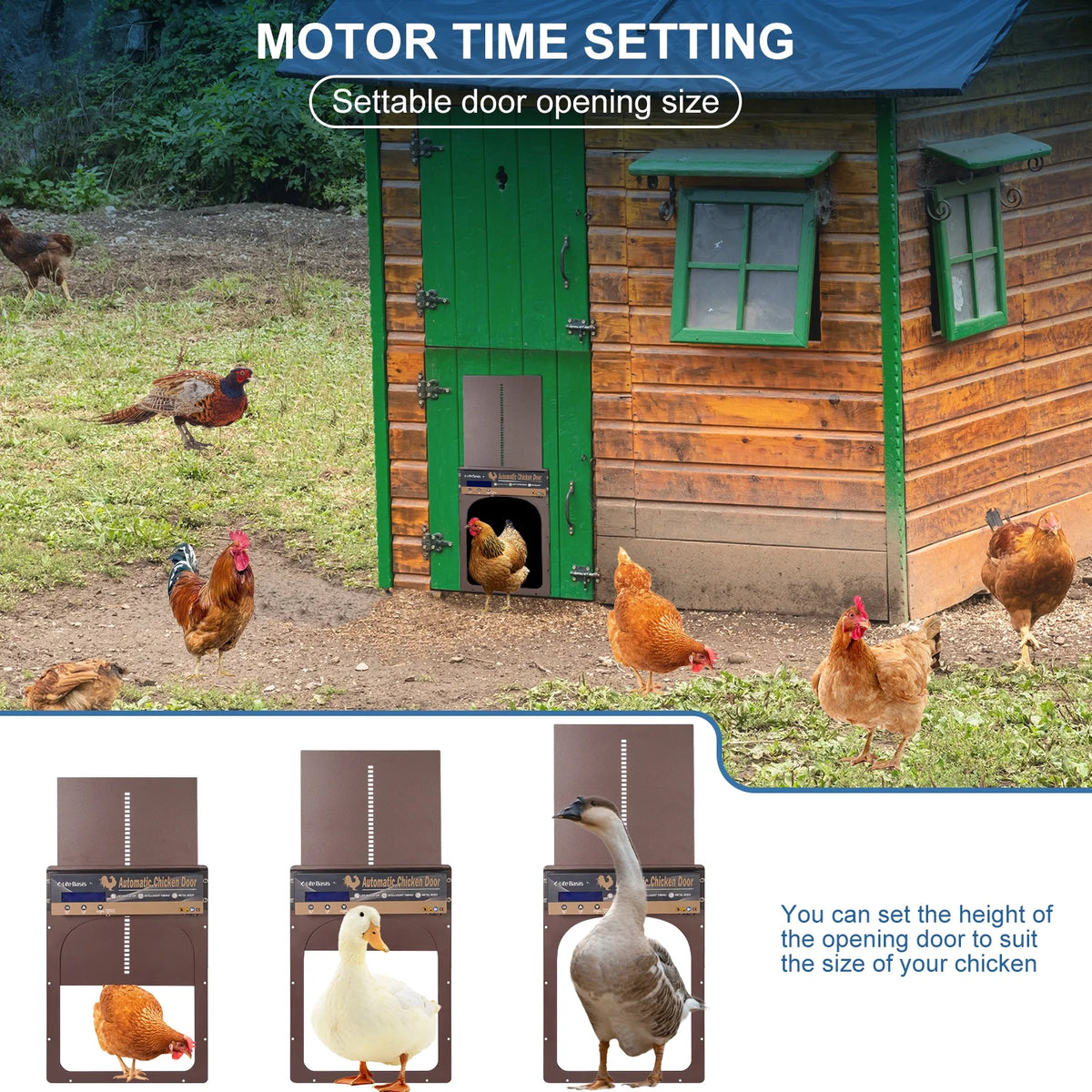 Solar Powered Automatic Chicken Coop Door with Remote Control B9829