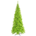Lime Slim Fir Tree A86692