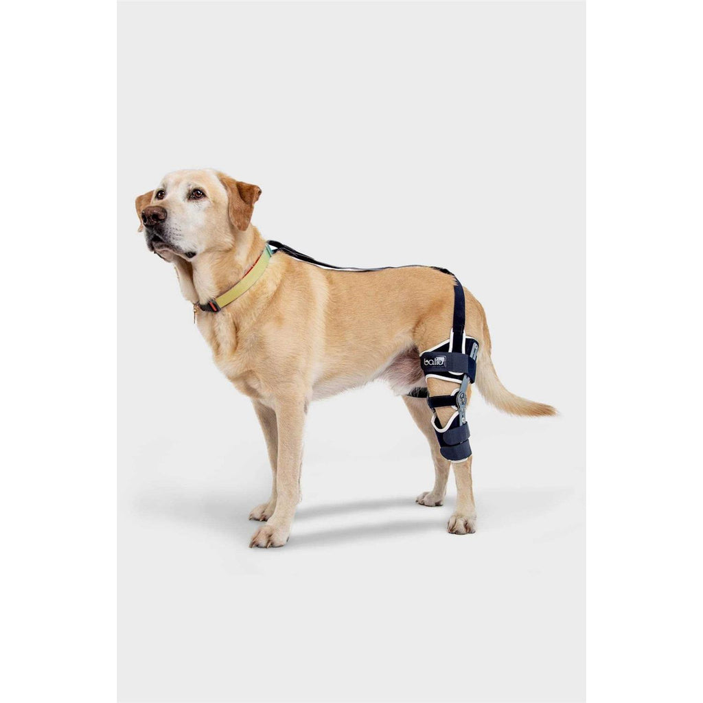 Adjustable Hinged Dog Knee Brace I706