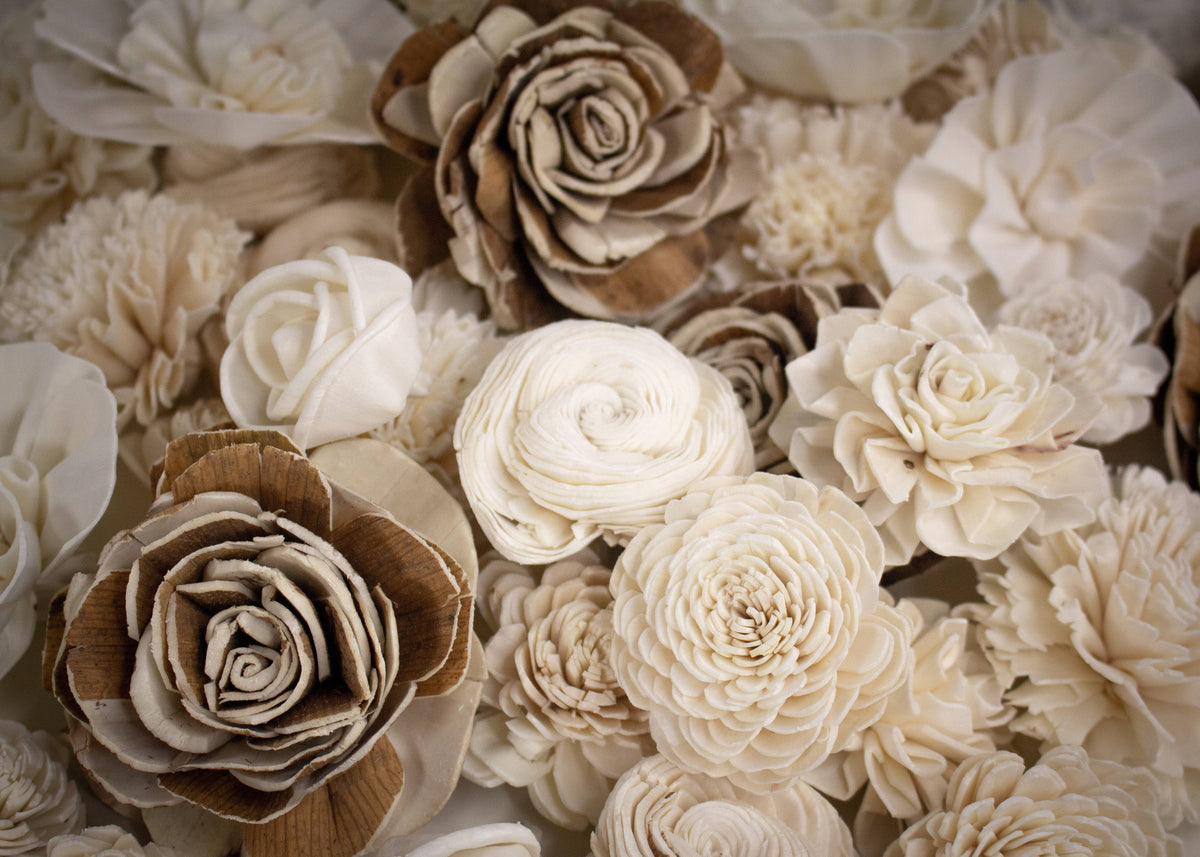 Sola Wood Flowers Pack of 50 I769