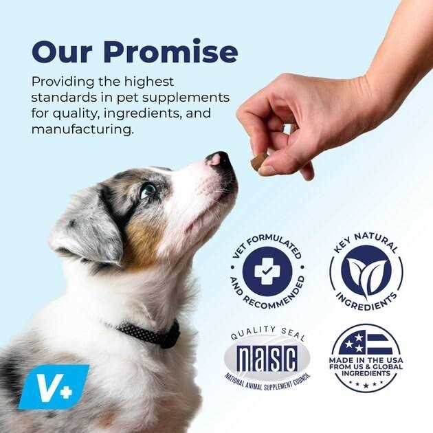 Vet Strength Chew L24886