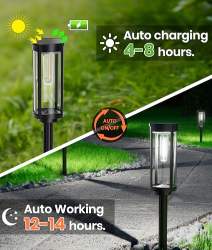8 Pack Solar Pathway Lights M4875