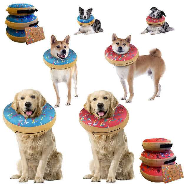Dog Donut Collar R833999