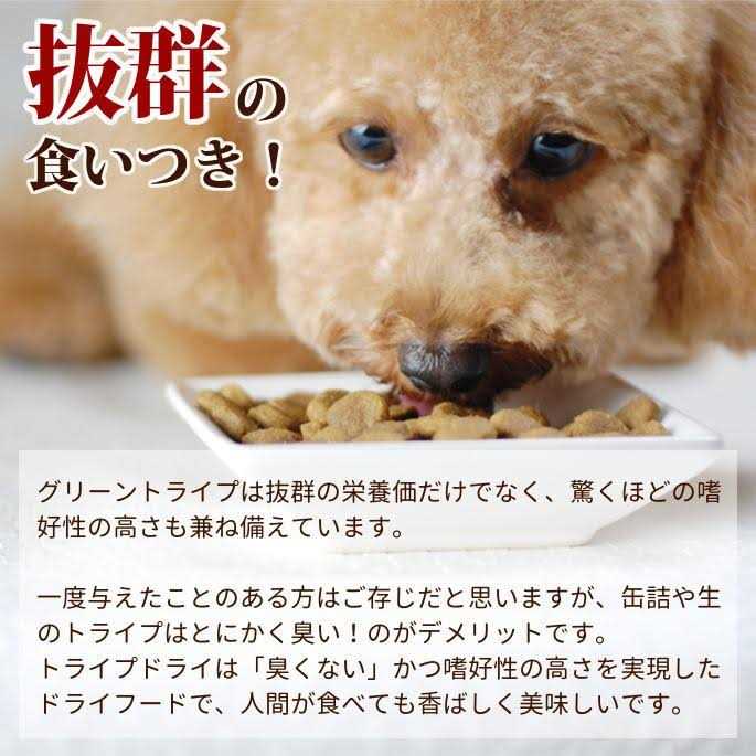 Beef Tripe Formula Dry Dog Food R187