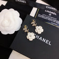 Earrings E92601