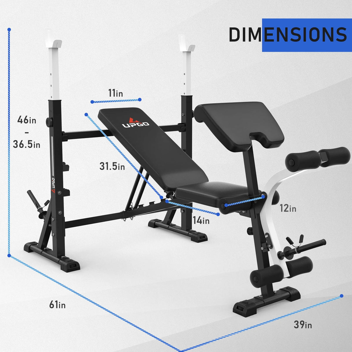 Standard Weight Bench with Preacher Curl Pad and Leg Developer G391