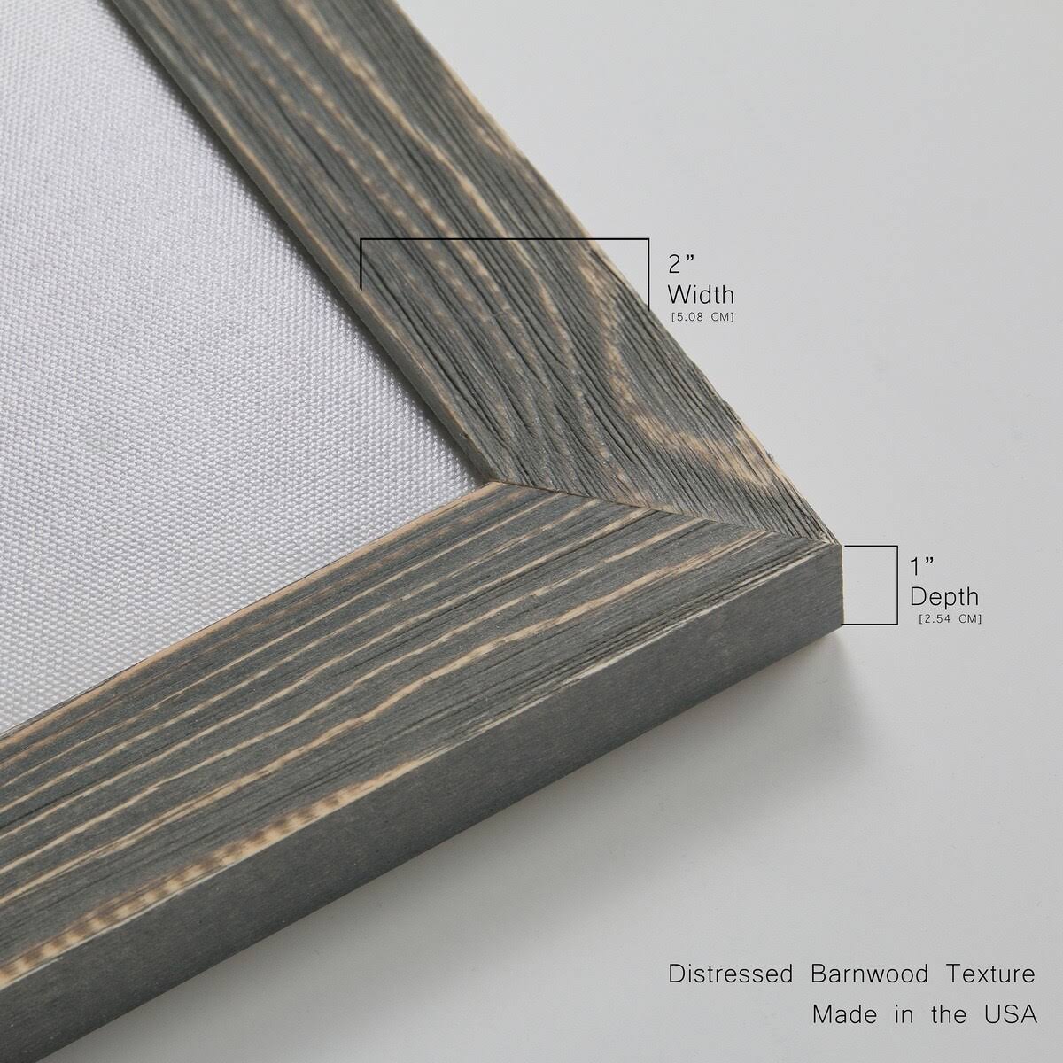 Framed Canvas Q254021