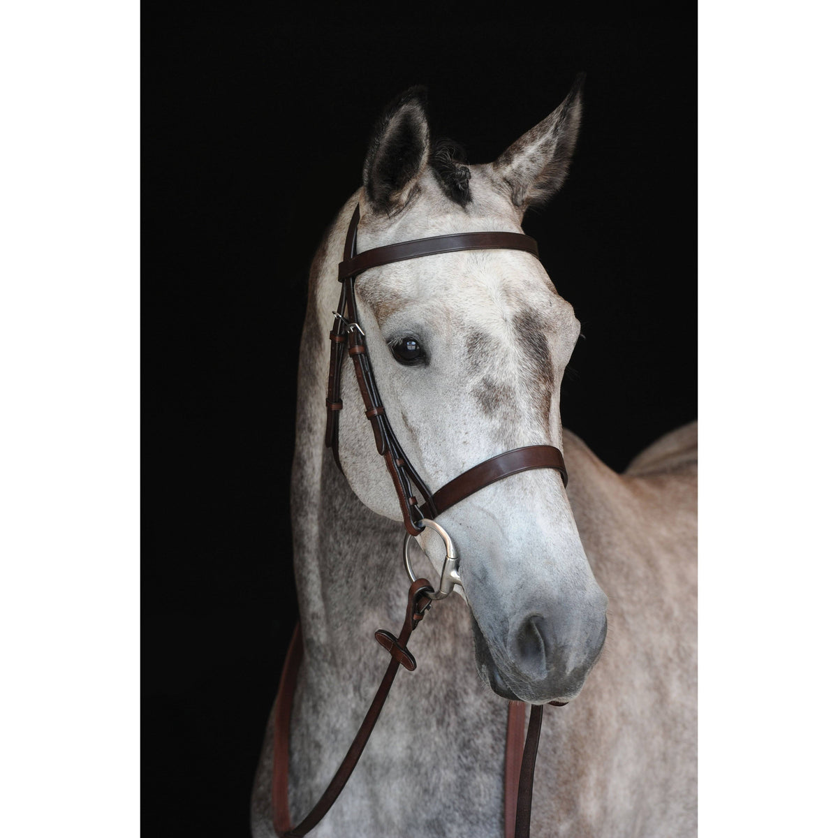 Black Cavesson Bridle L28559