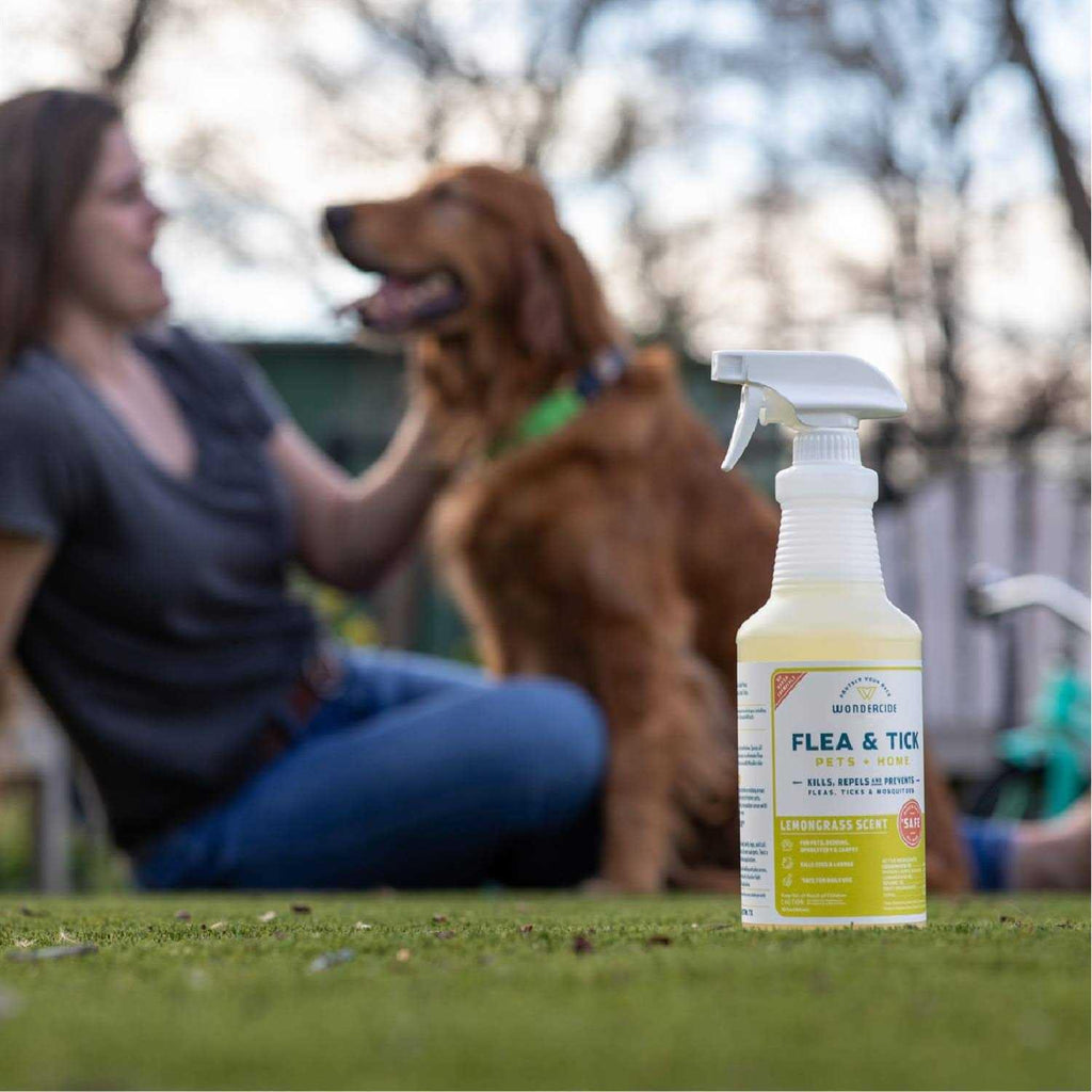 Flea & Tick Spray Pets Home Rosemary U363723