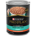 Chicken & Rice Wet Puppy Food L5353