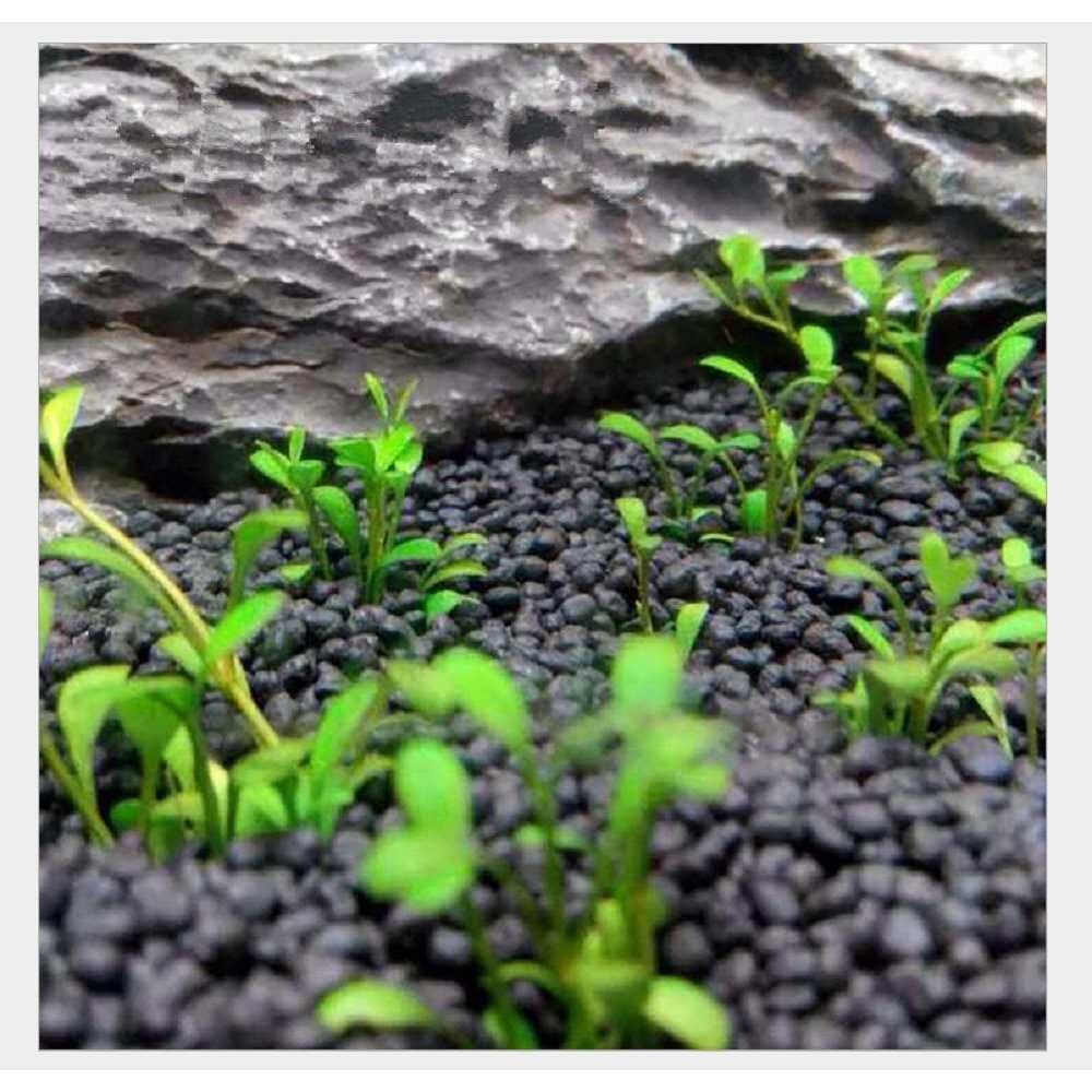 2 LB Freshwater Planted Aquarium Substrate K776146