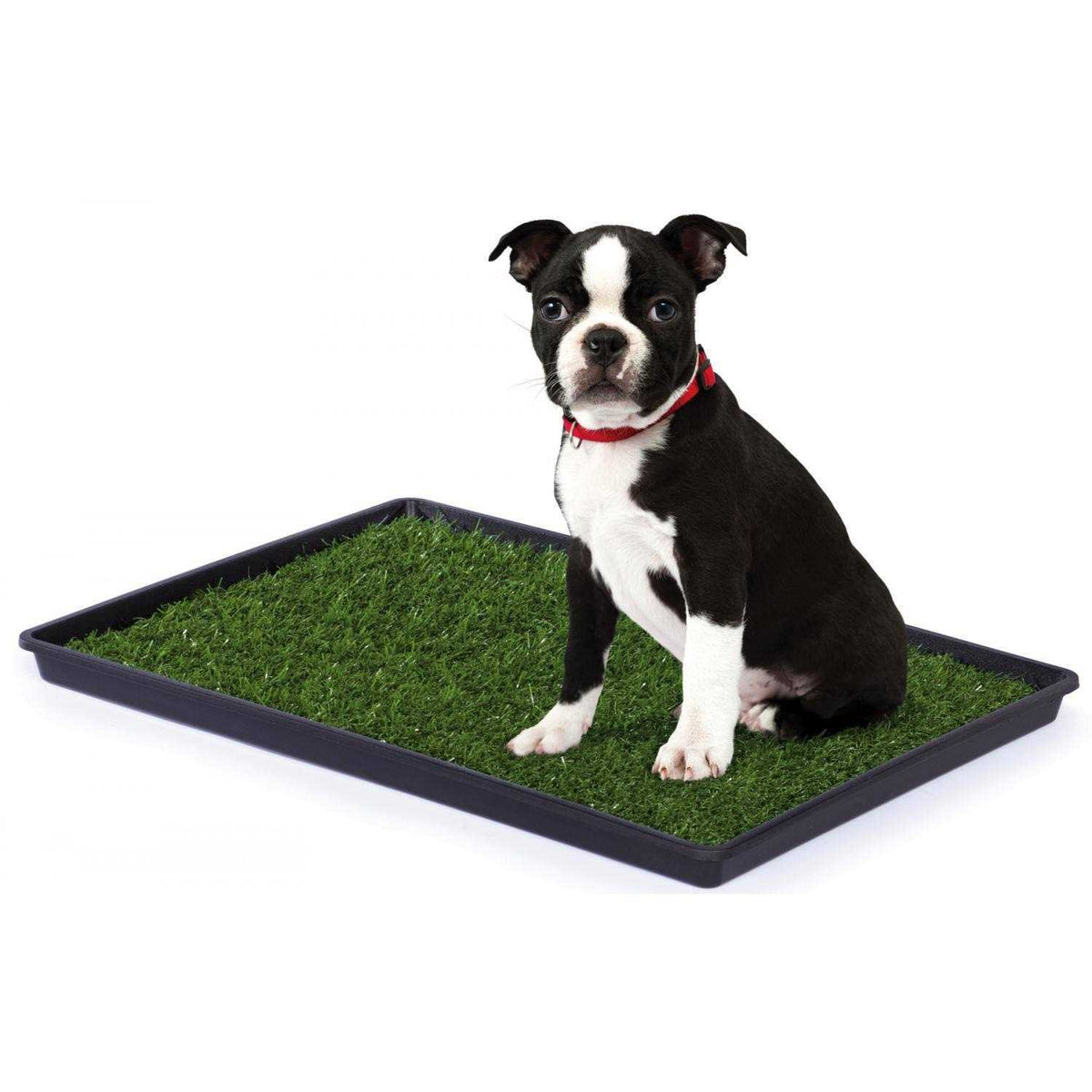 Pet Supplies G84701