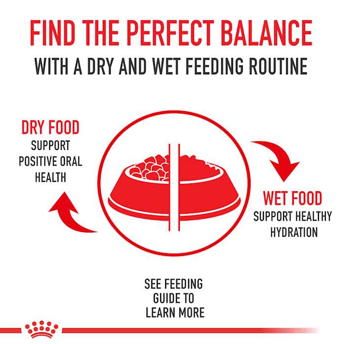 Maine Coon Dry Cat Food W445089