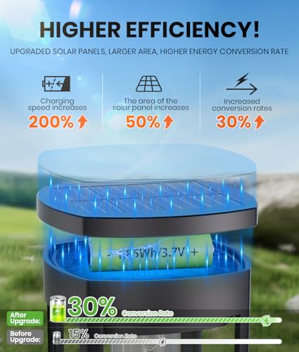 8 Pack Solar Pathway Lights M4875