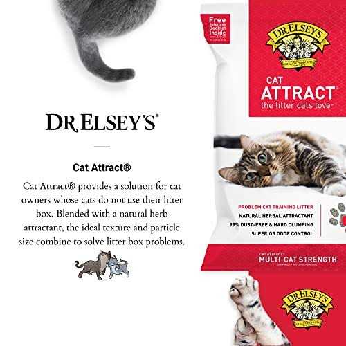 Cat Litter B796519