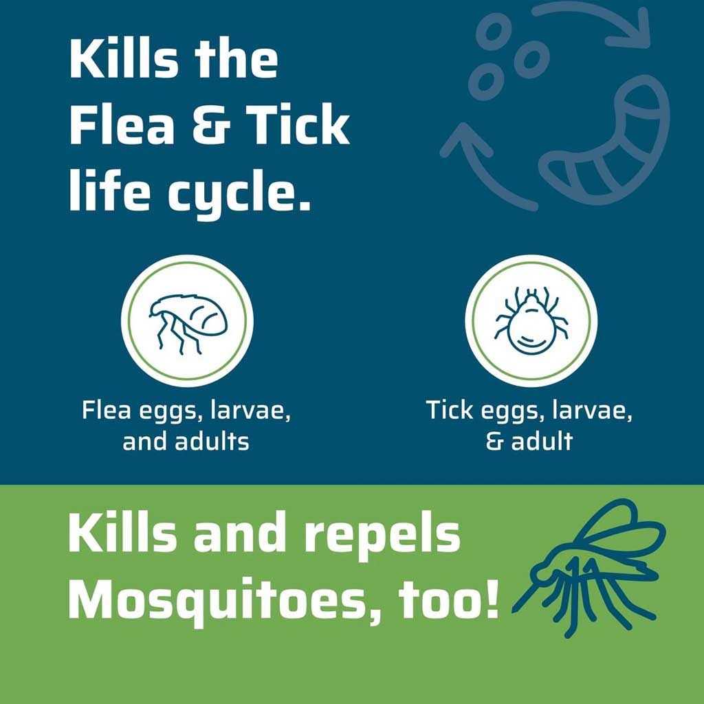 Flea & Tick Spray Pets Home Rosemary U363723