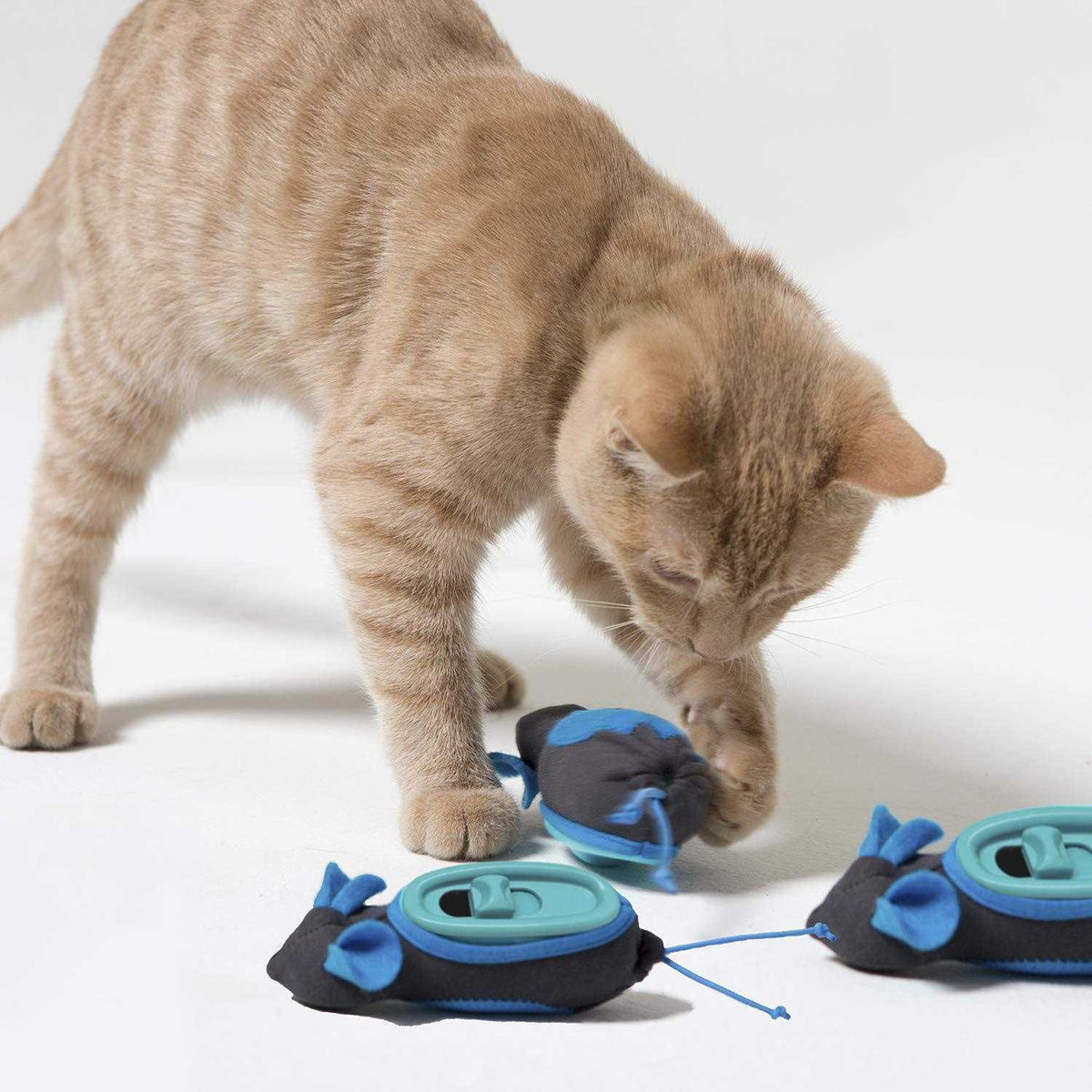 Cat Feeder H60408