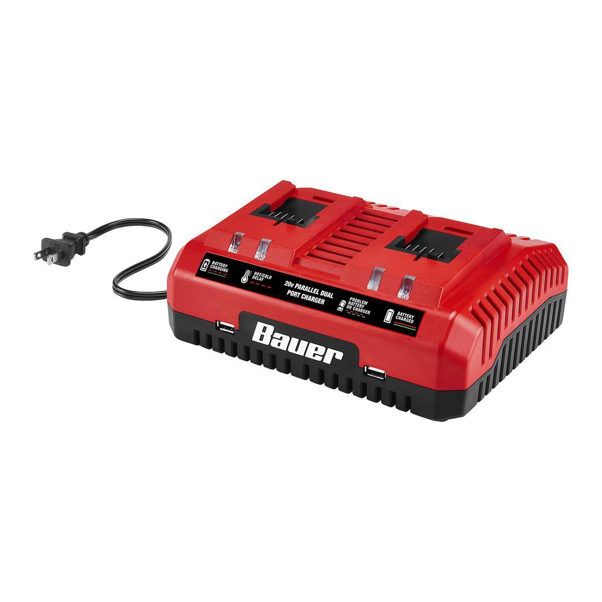20V Dual-Port Charger B308979