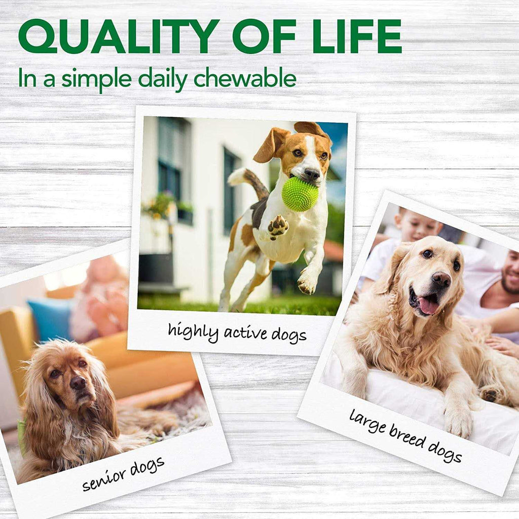 Dog Supplement P491