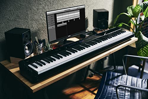 88-Key Weighted Digital Piano with Bluetooth U815