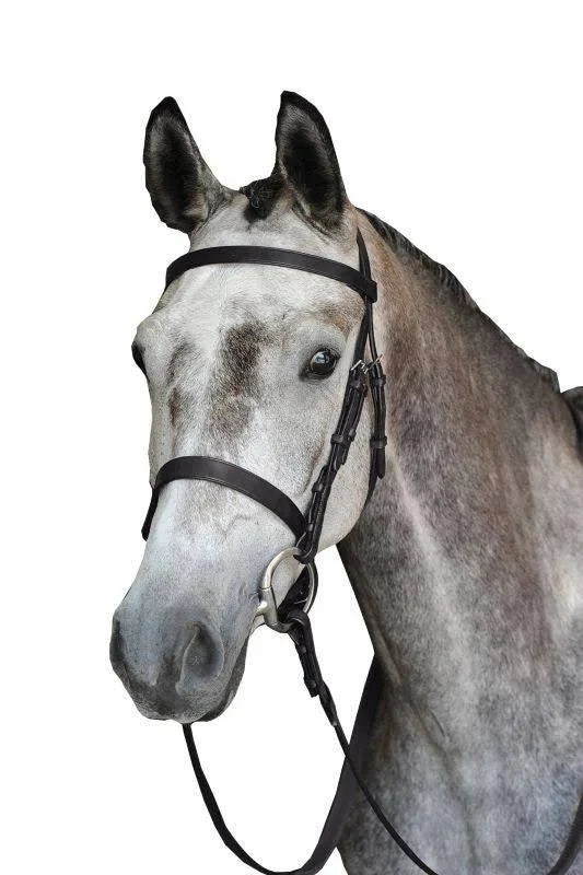 Black Cavesson Bridle L28559