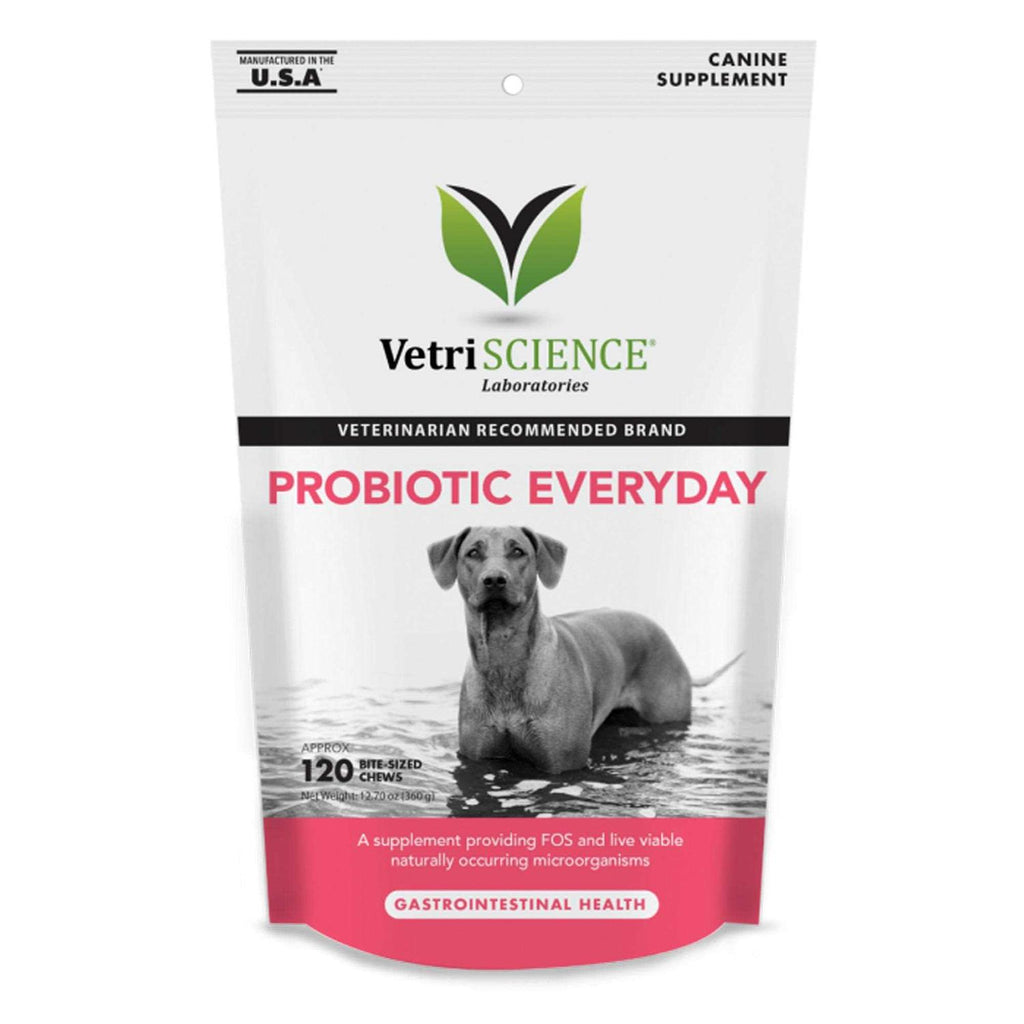 Probiotic Chews for Dogs X31312