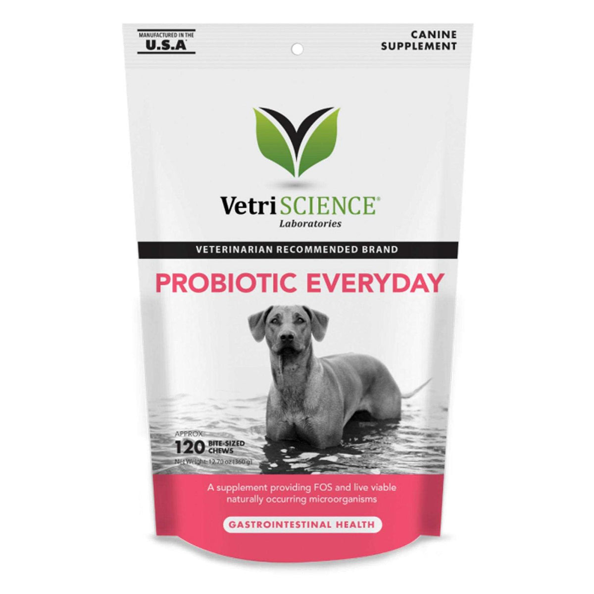 Probiotic Chews for Dogs X31312