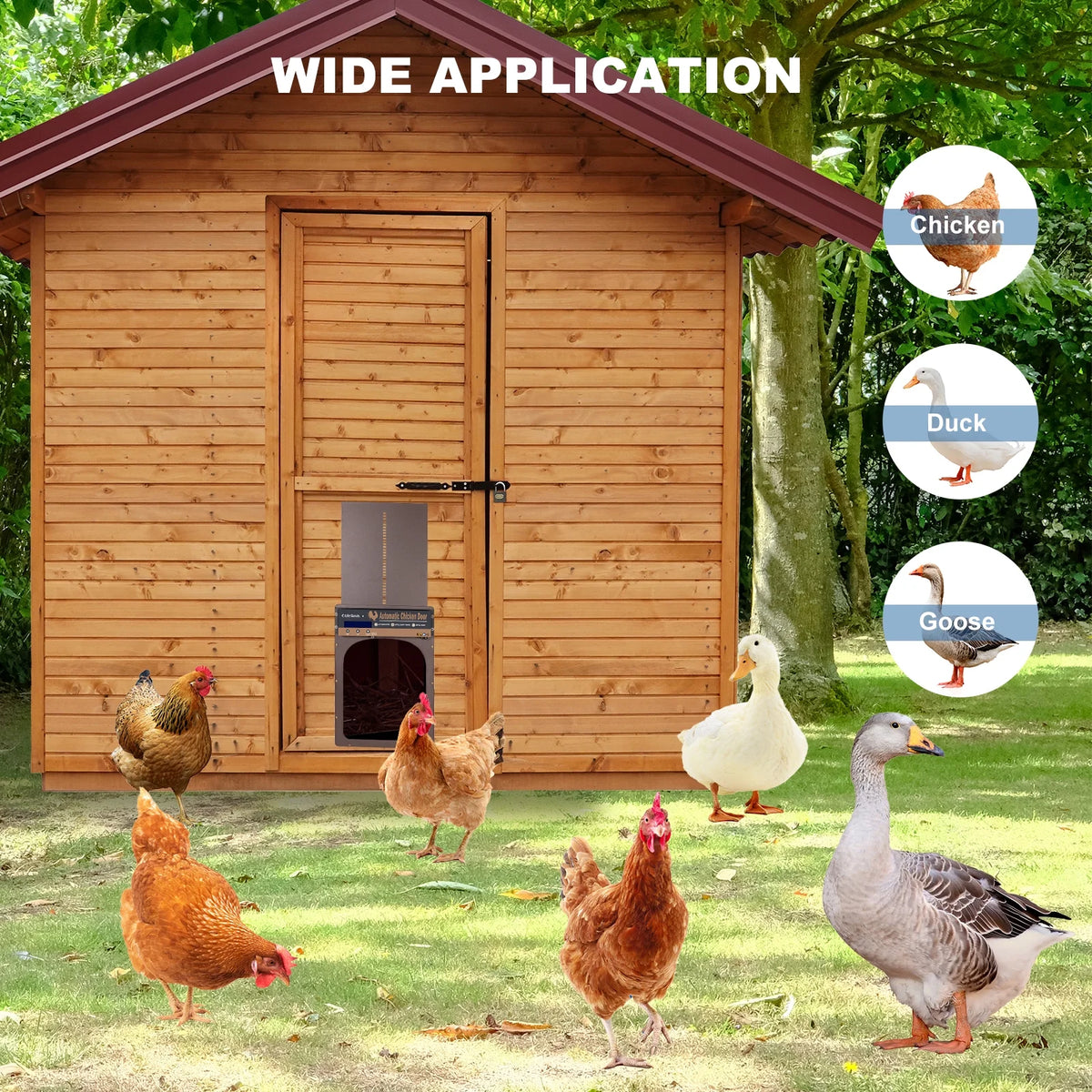 Solar Powered Automatic Chicken Coop Door with Remote Control B9829