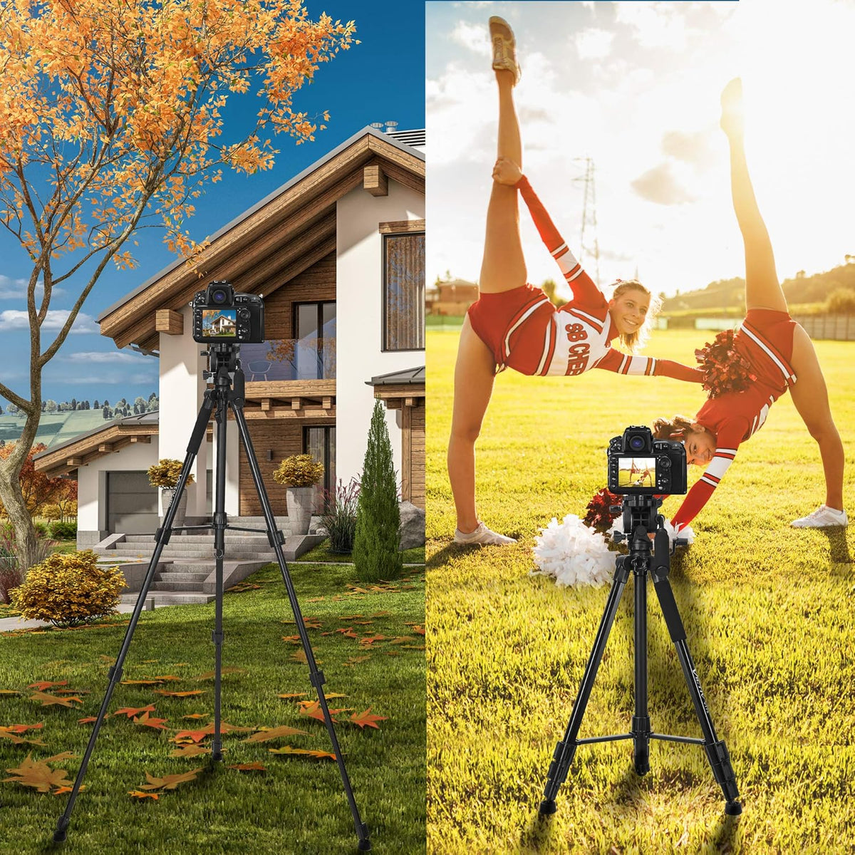 75 inch Tripod with Fluid Head, 2 Quick Release Mounts, Tablet & Phone Mount, Pack of 2 T73157