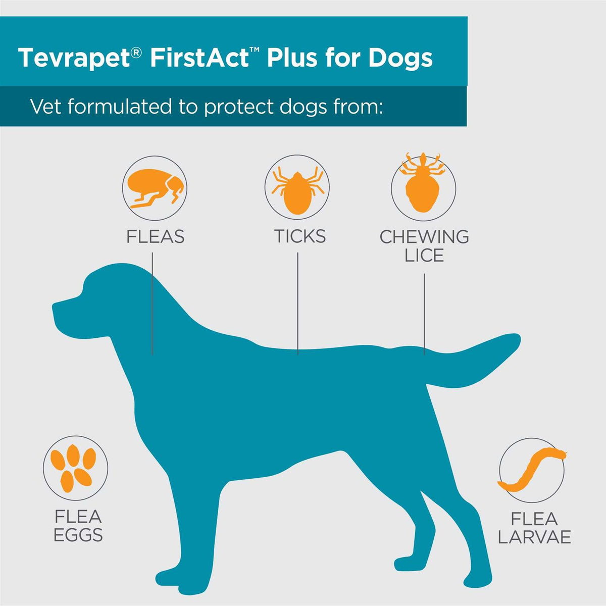 Flea and Tick Prevention Dogs T182