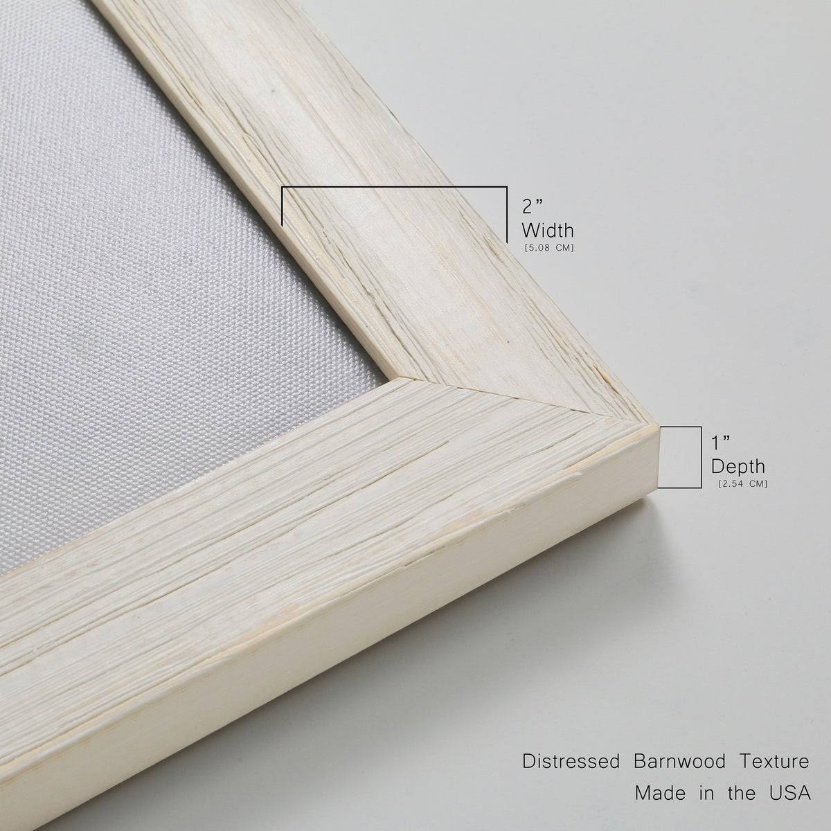 Framed Canvas Q254021