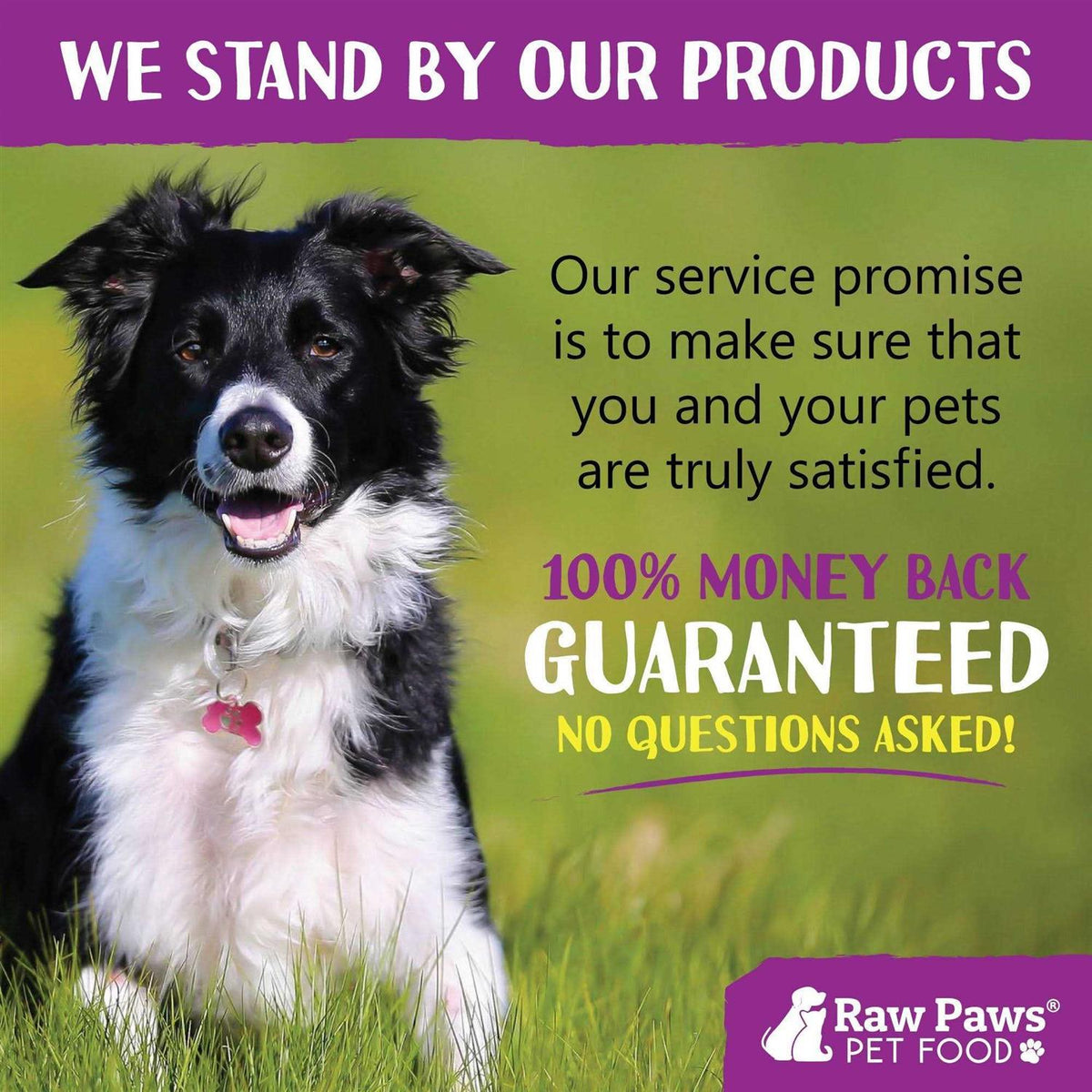 Organic Coconut Oil for Dogs & Cats K9308