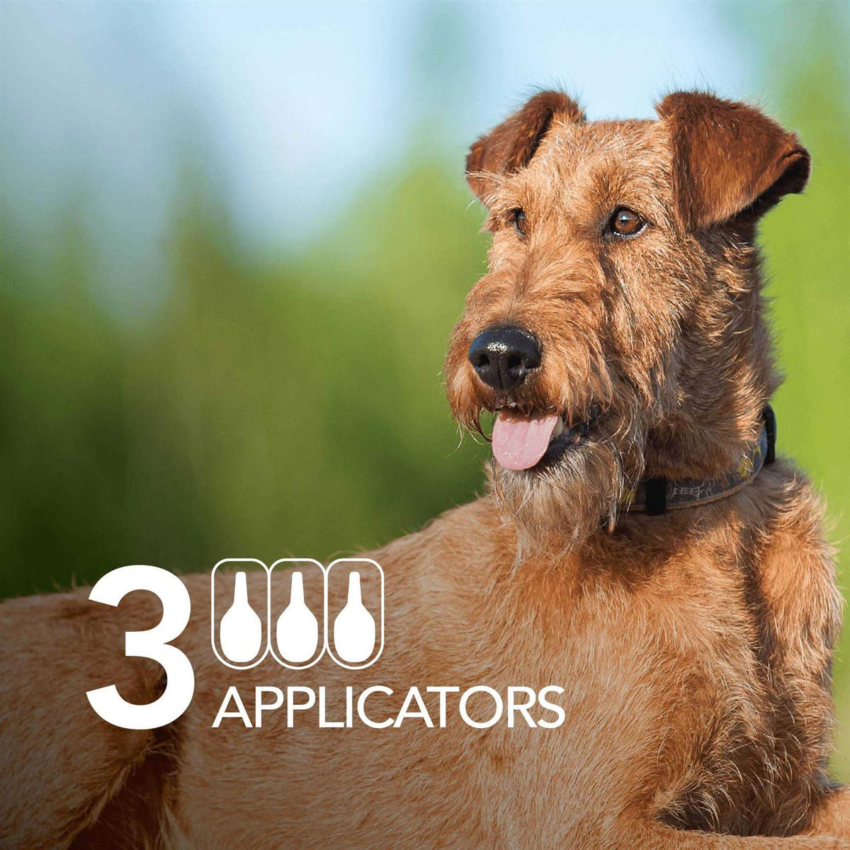 Flea and Tick Prevention Dogs T182