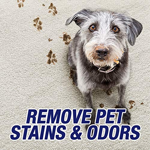 32oz Pet Odor and Stain Remover Spray J51184
