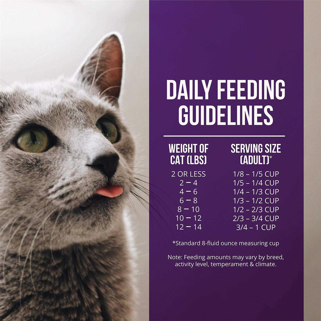 Quail & Duck Meal Dry Cat Food W1819