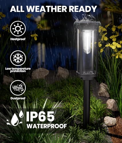 8 Pack Solar Pathway Lights M4875
