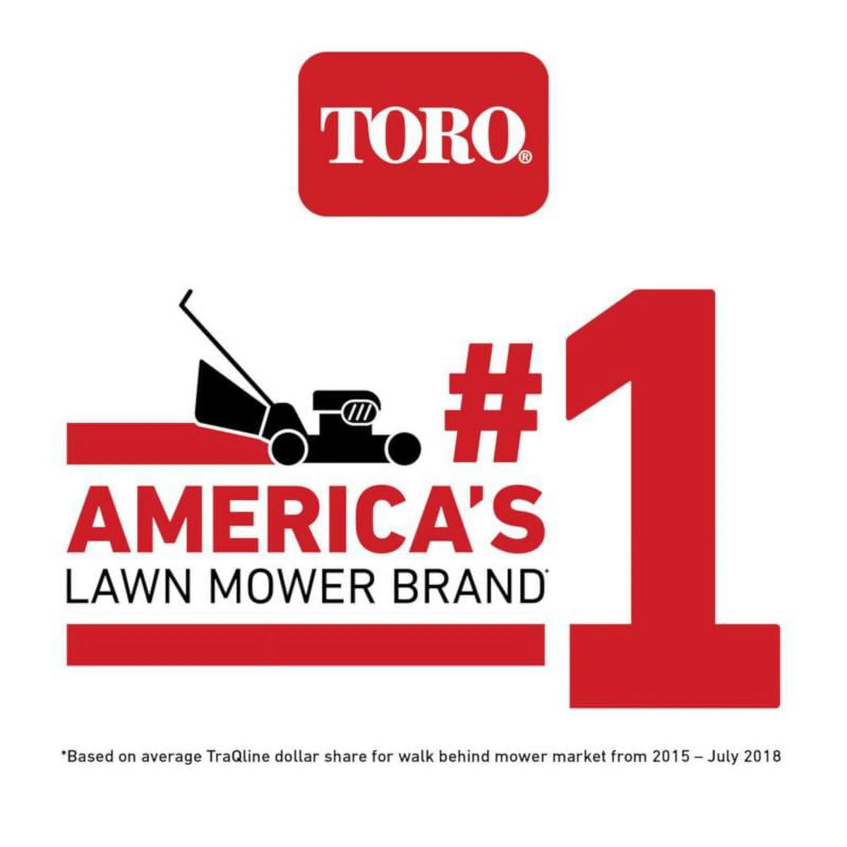 22 in. 150 cc Gas Self-Propelled Lawn Mower W539